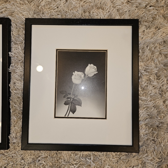 3 black and white framed flower pictures - Picture 4 of 12